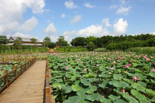 夏季应该怎么养发