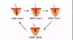 毛囊坏死的症状是什么样的