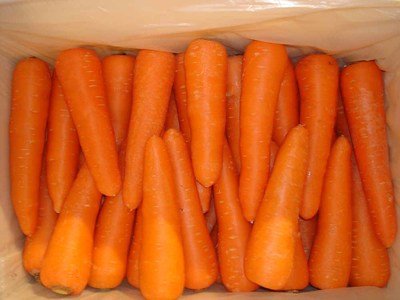 脱发食疗—带你解读胡萝卜的一切