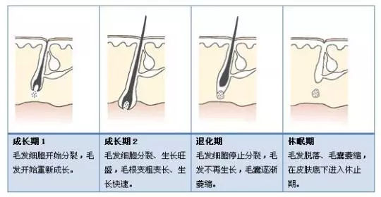 怎么判断自己适不适合植发