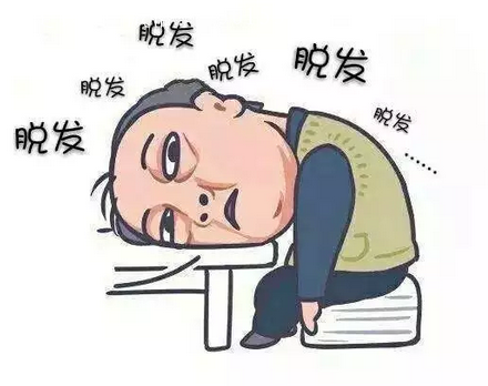 脱发怎么调理