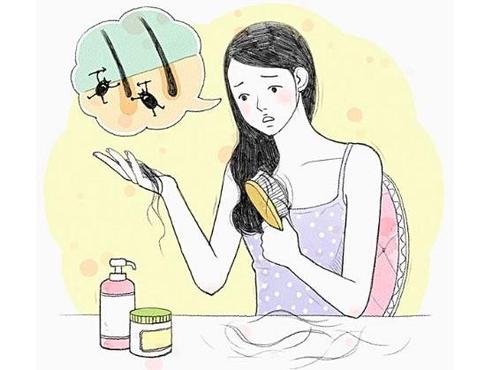 预防女性脱发的方法