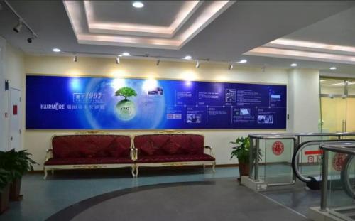 瑞丽诗植发医院毛发种植有什么好的